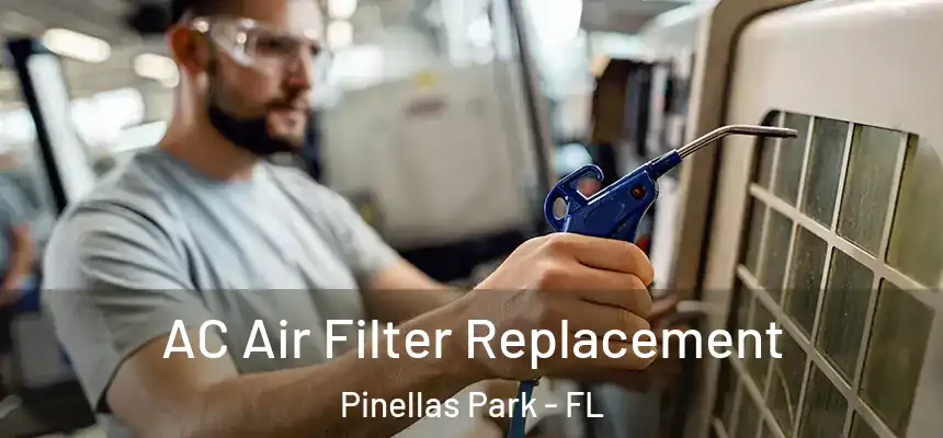 AC Air Filter Replacement Pinellas Park - FL