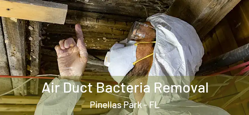 Air Duct Bacteria Removal Pinellas Park - FL