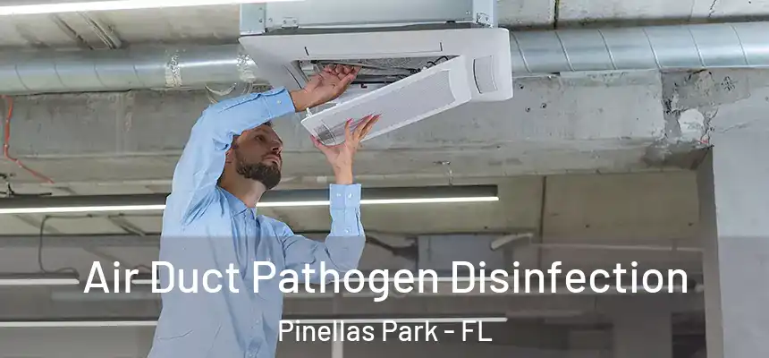 Air Duct Pathogen Disinfection Pinellas Park - FL