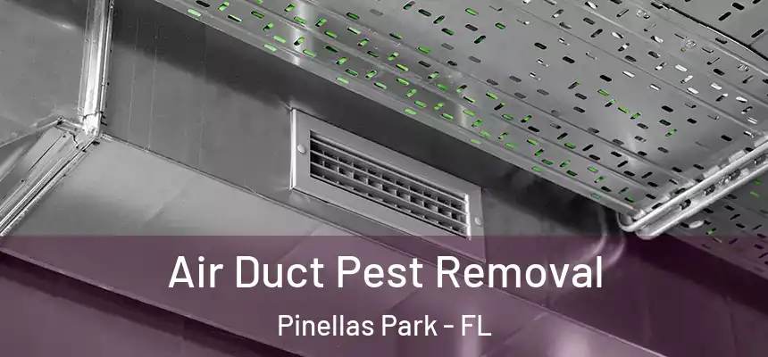 Air Duct Pest Removal Pinellas Park - FL