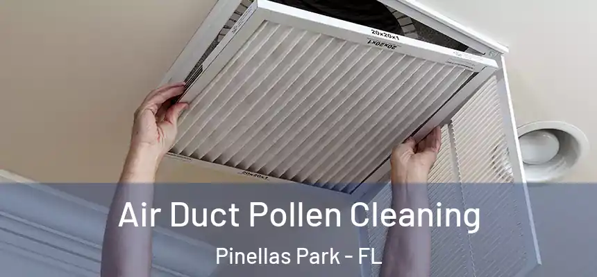Air Duct Pollen Cleaning Pinellas Park - FL