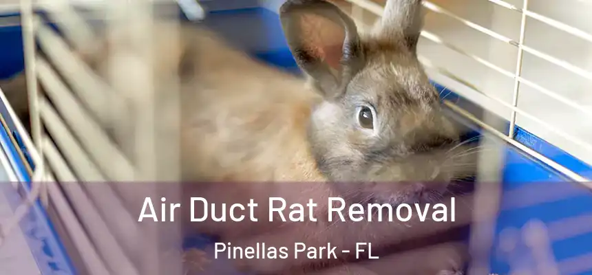 Air Duct Rat Removal Pinellas Park - FL