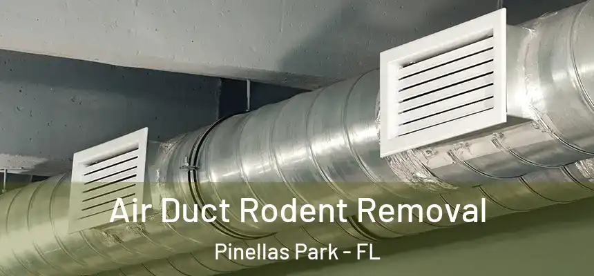 Air Duct Rodent Removal Pinellas Park - FL