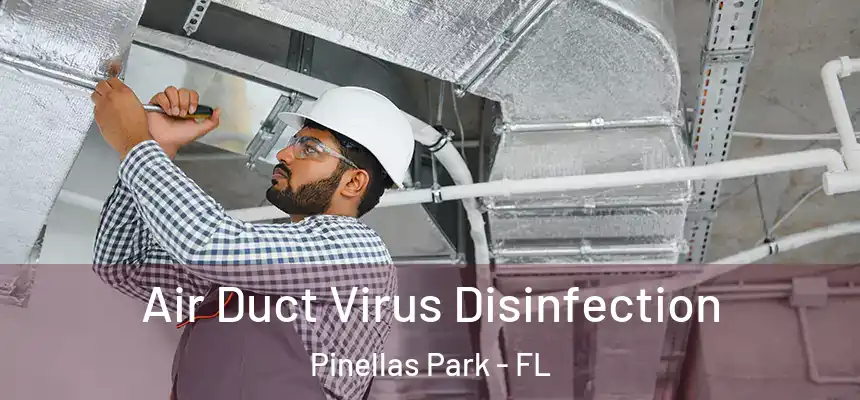 Air Duct Virus Disinfection Pinellas Park - FL