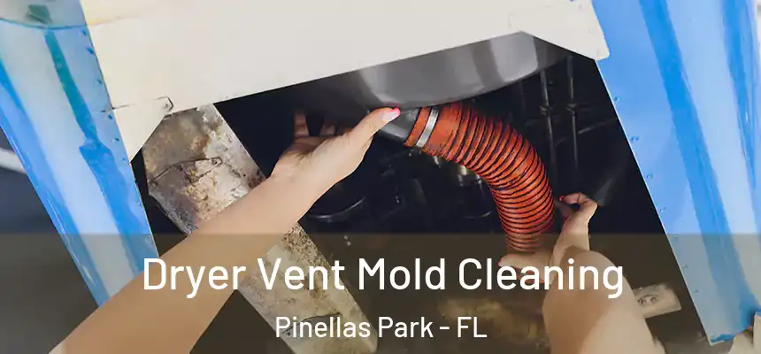  Dryer Vent Mold Cleaning Pinellas Park - FL