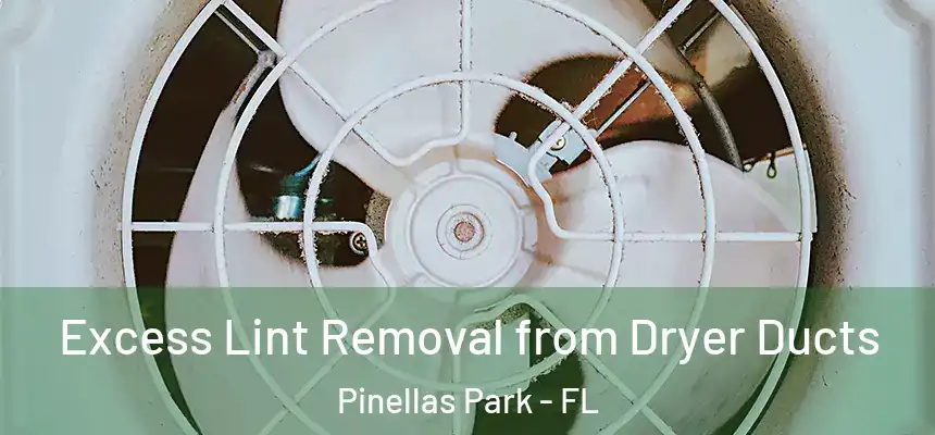 Excess Lint Removal from Dryer Ducts Pinellas Park - FL
