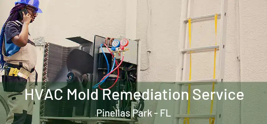 HVAC Mold Remediation Service Pinellas Park - FL
