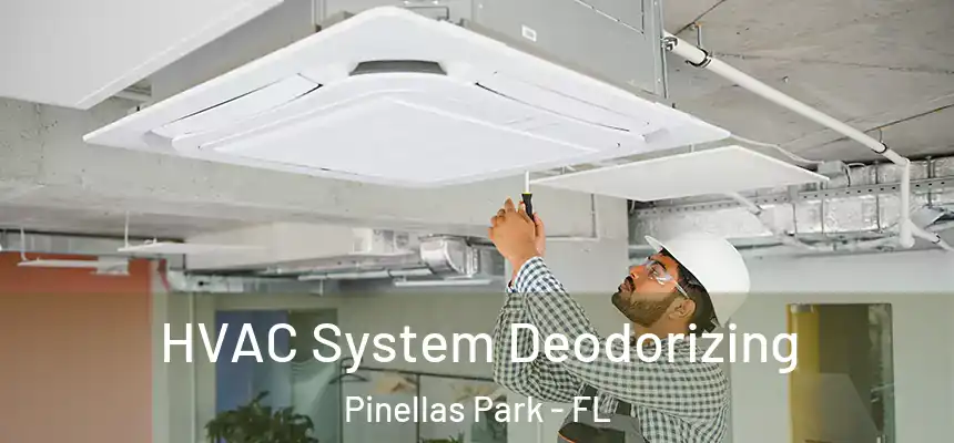 HVAC System Deodorizing Pinellas Park - FL