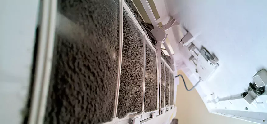 Preventive Air Duct Bacteria Removal in Pinellas Park