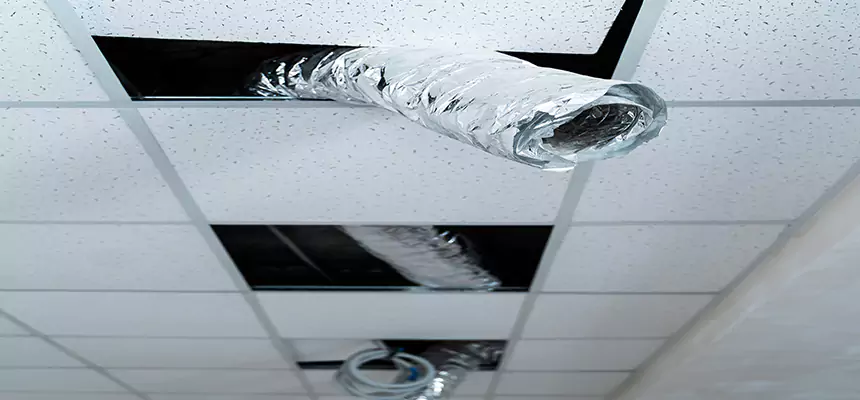 Our Air Duct Pet Hair Removal Services in Pinellas Park, FL