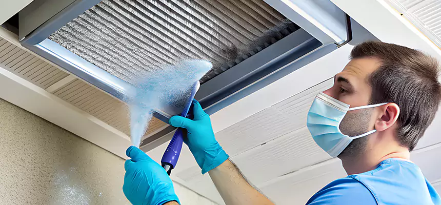 Proactive Dryer Vent & Auxiliary Duct Pollen Cleanup in Pinellas Park, FL