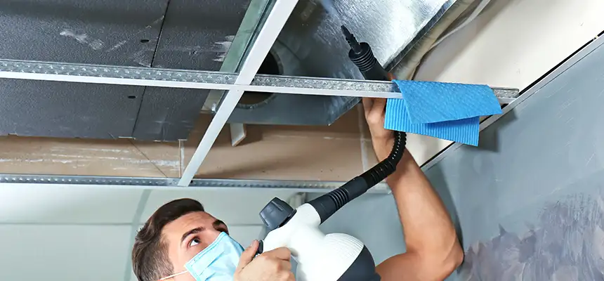 Our Air Duct Rodent Removal Services in Pinellas Park, FL