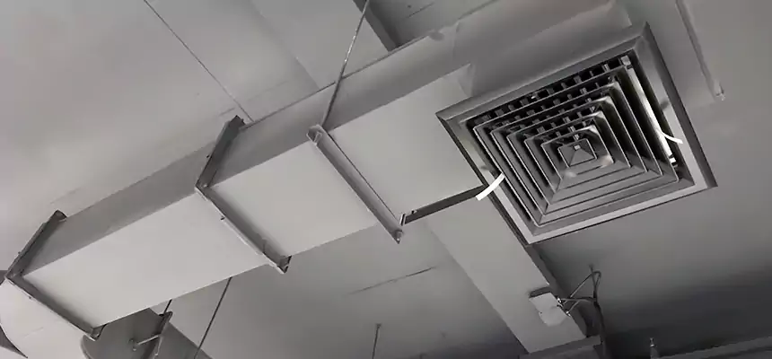 Restorative Allergy Relief Vent Cleaning – Coil, Blower & Housing Detail in Pinellas Park