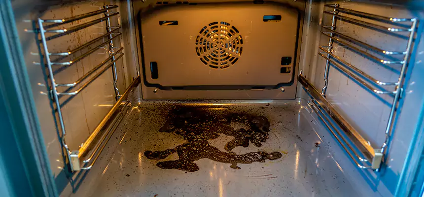 Our Dryer Vent Mold Cleaning Services in Pinellas Park, FL