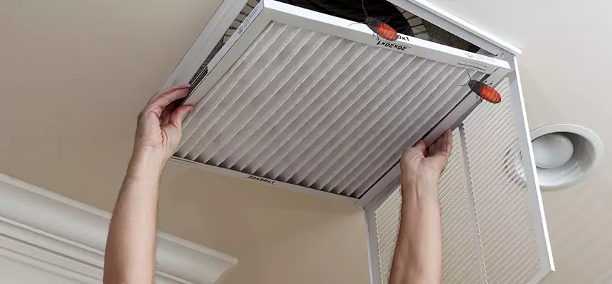 Our Insect Removal from Air Ducts Services in Pinellas Park, FL