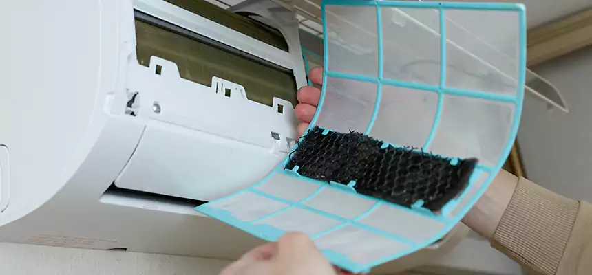 Gentle Ductwork Odor-Control Pet Dander Duct Cleaning in Pinellas Park, FL