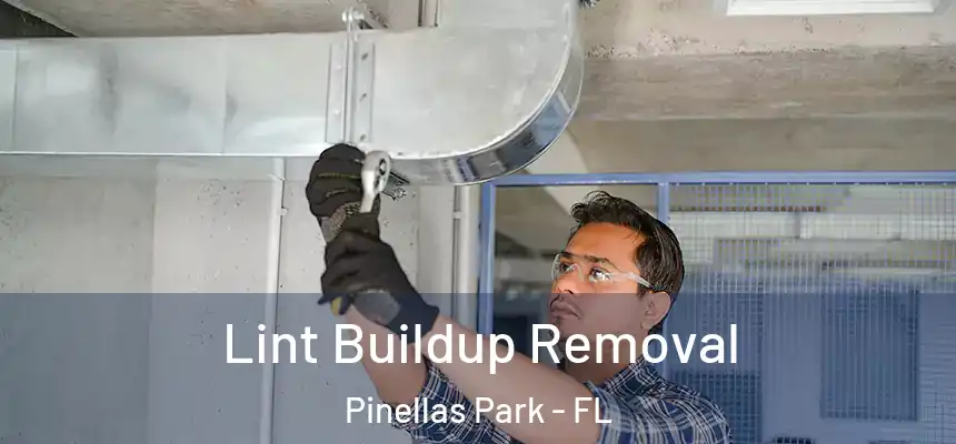 Lint Buildup Removal Pinellas Park - FL