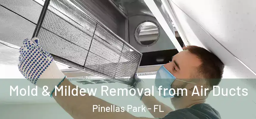 Mold & Mildew Removal from Air Ducts Pinellas Park - FL