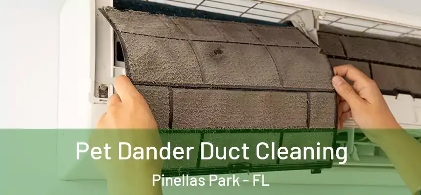 Pet Dander Duct Cleaning Pinellas Park - FL