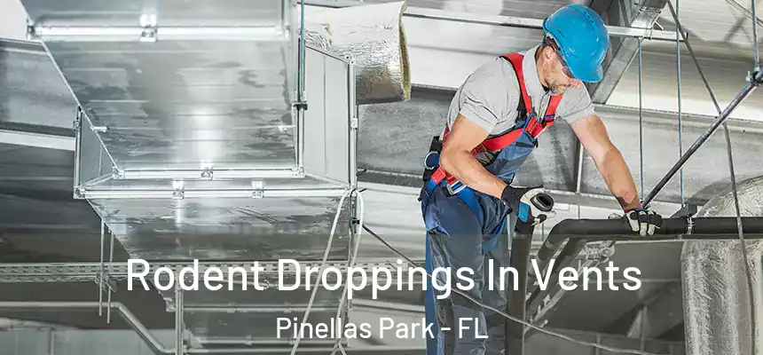 Rodent Droppings In Vents Pinellas Park - FL