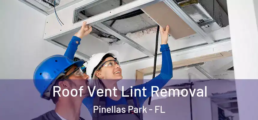 Roof Vent Lint Removal Pinellas Park - FL