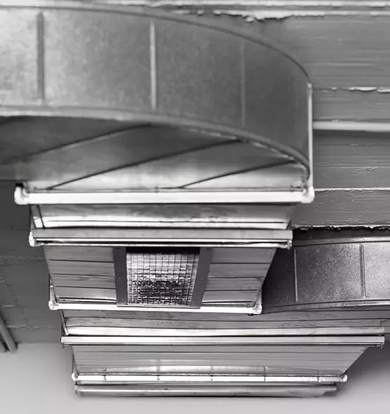 Professional Air Duct Pest Removal in Pinellas Park, FL