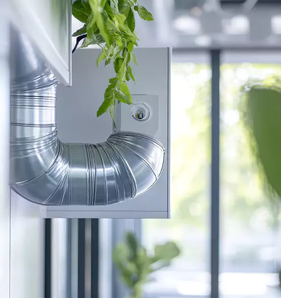 Professional Eco-Safe Dryer Vent Cleaning in Pinellas Park, FL