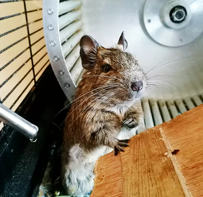 Why Homeowners & Businesses Trust Us Pinellas Park, FL?