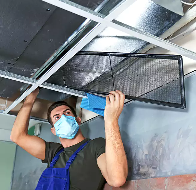 Why Homeowners Businesses Trust Us in Pinellas Park, FL