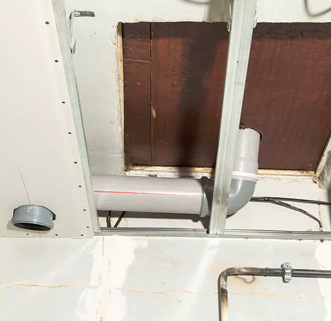 Why Homeowners & Businesses Trust Us in Pinellas Park, FL?