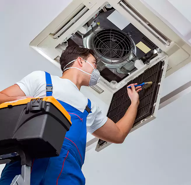 Why Homeowners & Businesses Trust Us in Pinellas Park, FL