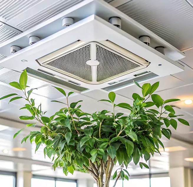 Why Homeowners & Businesses Trust Us in Pinellas Park, FL?