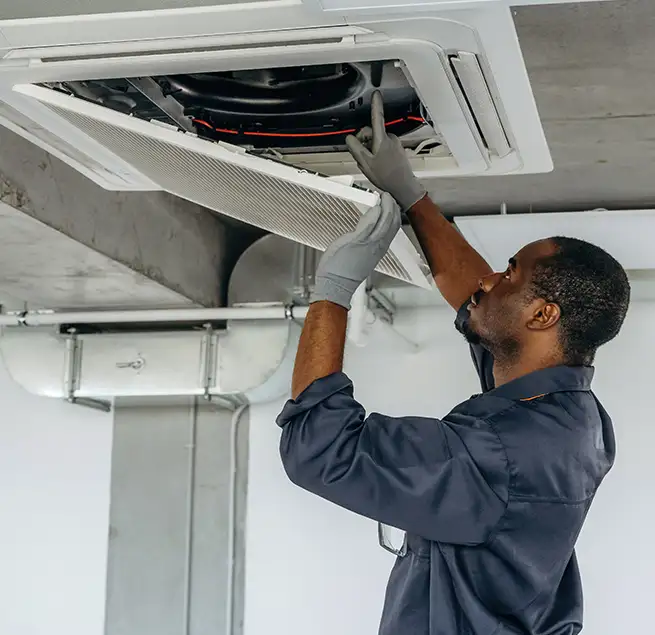 Why Homeowners & Businesses Trust Us in Pinellas Park, FL?