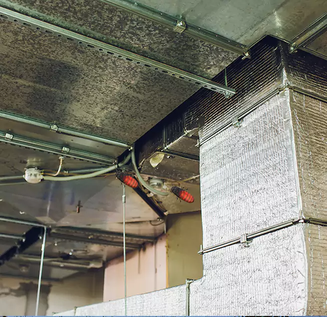 Why Homeowners & Businesses Trust Us Pinellas Park, FL?