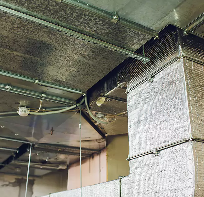 Why Homeowners & Businesses Trust Us in Pinellas Park, FL?