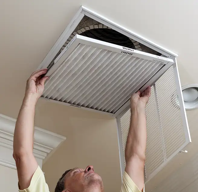 Why Homeowners & Businesses Trust Us in Pinellas Park, FL?