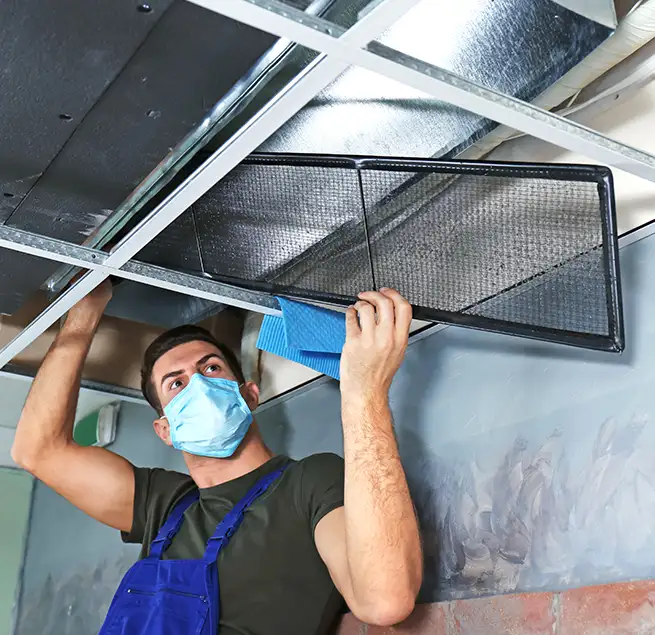 Why Homeowners & Businesses Trust Us in Pinellas Park, FL?